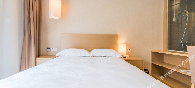 舟山蟑螂恶霸公寓图片