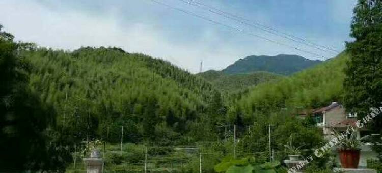 安吉依山而居客栈图片