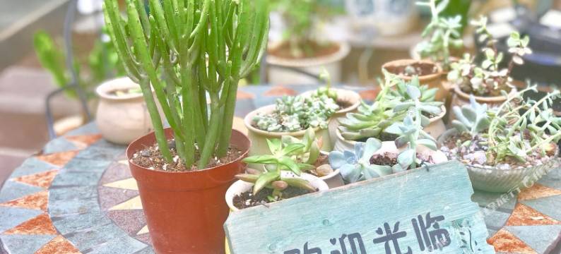 涂鸦青旅(曼听公园店)图片