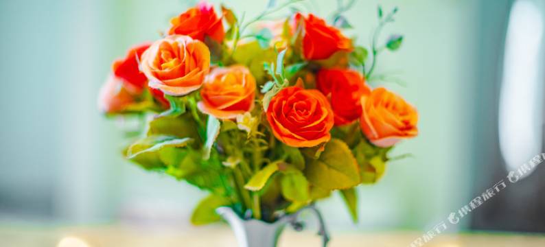 薄荷自助公寓(太原雁丘店)图片