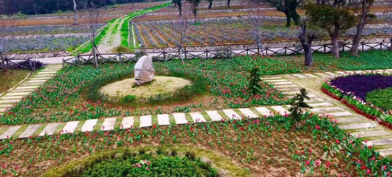 朱家尖开心e家宾馆图片