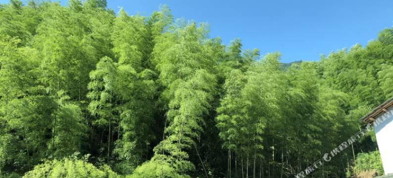 三清山有朋山庄图片