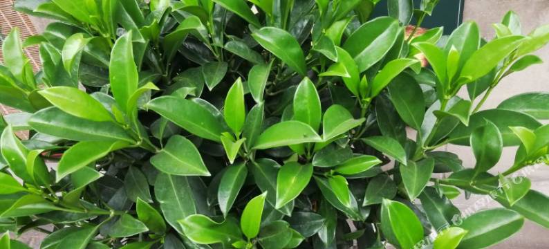 平遥昱馨精品民宿(日升昌票号店)图片