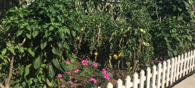 红海滩福义民宿图片