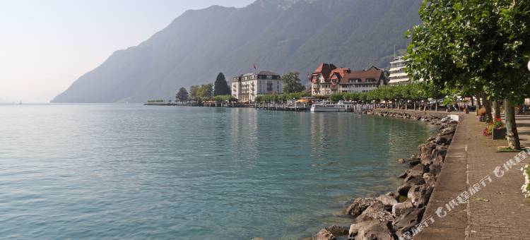 瓦德希戴霍夫瑞士品质宾馆(Seehotel Waldstätterhof Swiss Quality)图片