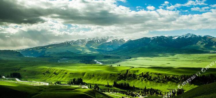 途窝假日庄园(张北草原天路野狐岭店)图片