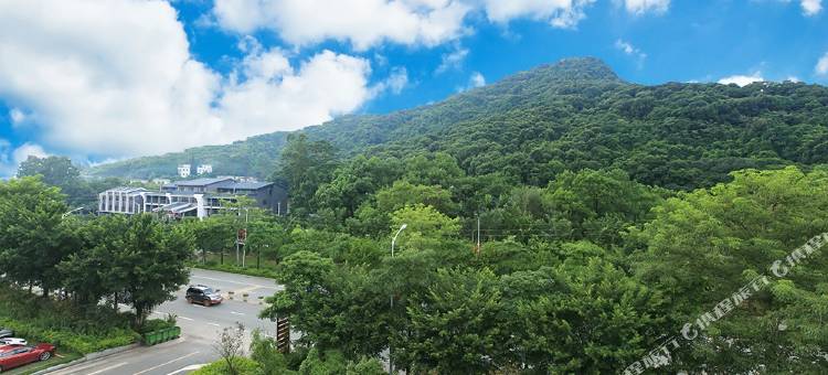 罗浮山道家香酒店图片