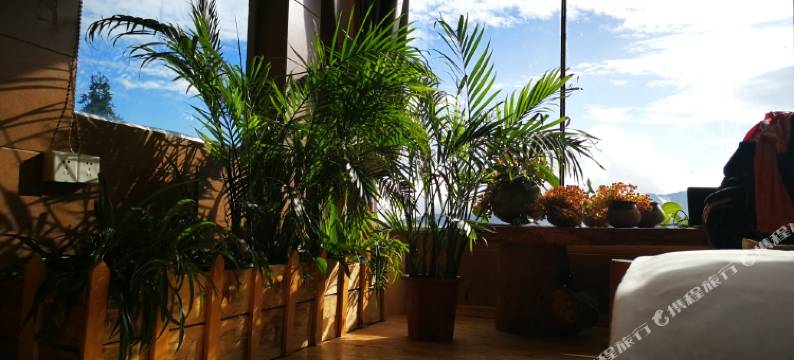 元阳路晟阳光客栈图片