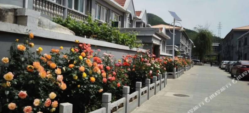 北京雪梅菊花客栈图片