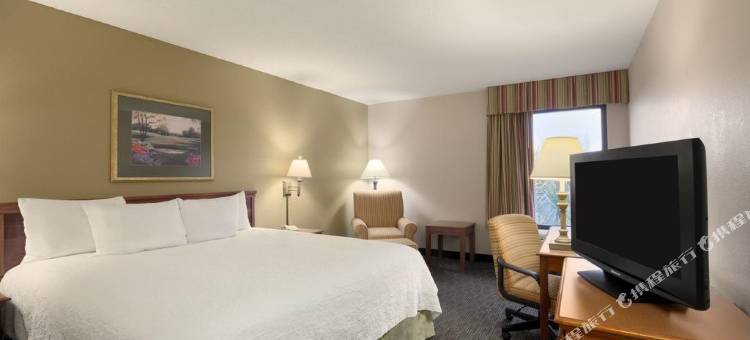 奥兰多国际大道/会议中心欢朋酒店(Hampton Inn Orlando Int'l Dr. Area/Convention Center)图片