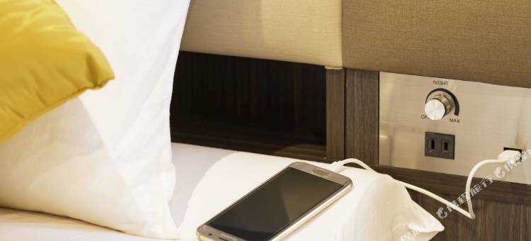 MYSTAYS 上野东酒店(HOTEL MYSTAYS Ueno East)图片
