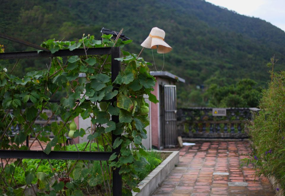 Dongli 3+1 Fellow Friends InnHotel Overview