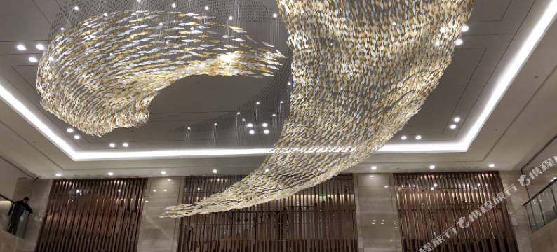 星星国际酒店图片