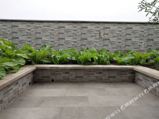 成都曾小家公寓