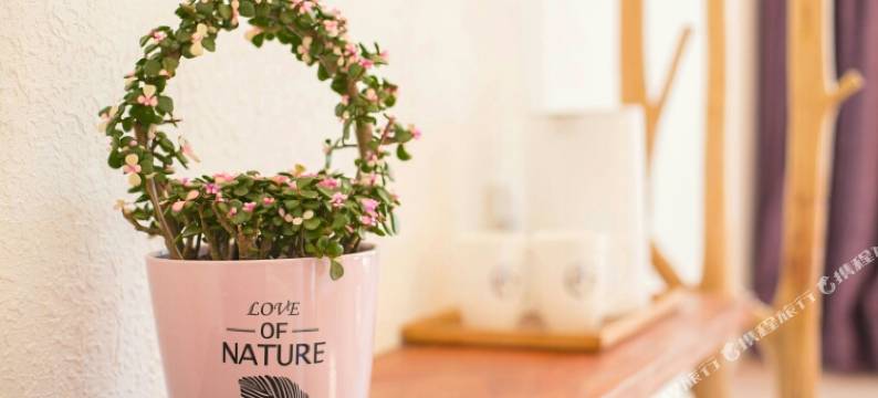 雁荡山秋之悦民宿图片