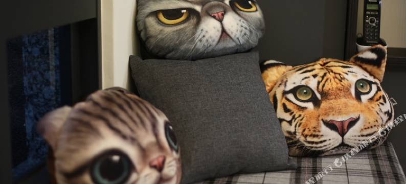 花莲随逸轻旅民宿图片