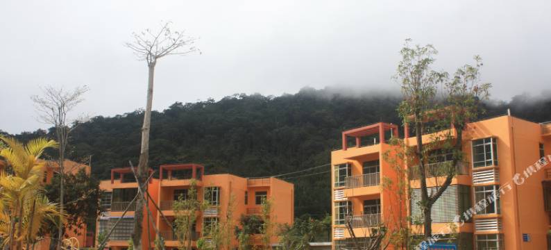 琼中黎母山森林公园度假公寓图片