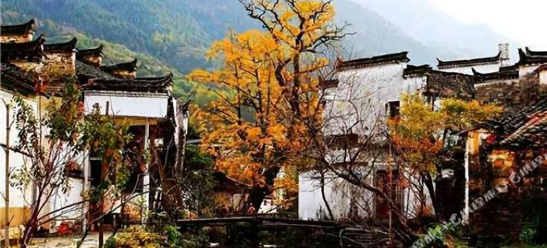 婺源庆源惜缘客栈图片