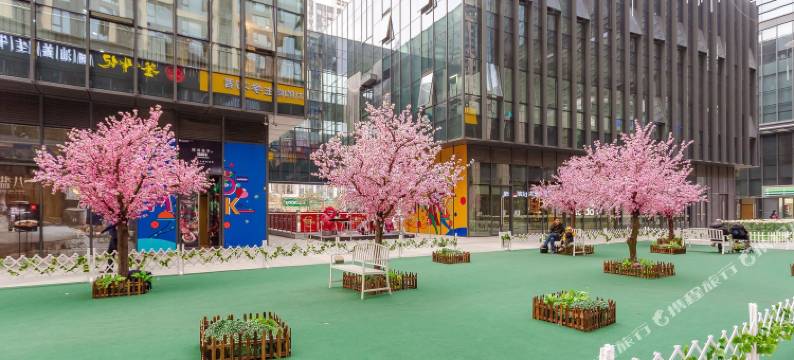 del1成都鸣鸟民宿图片