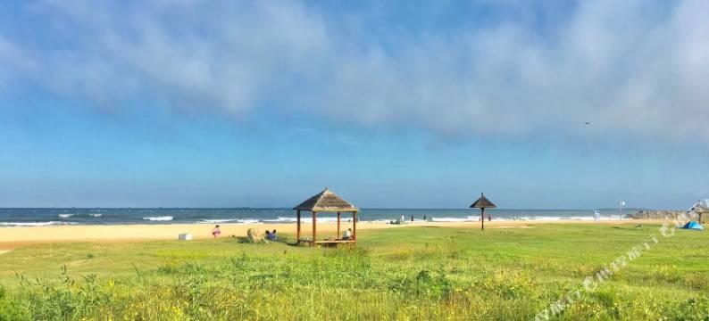 青岛从那以后青年旅社图片