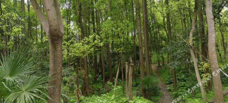 苏州世外桃源精品客栈图片