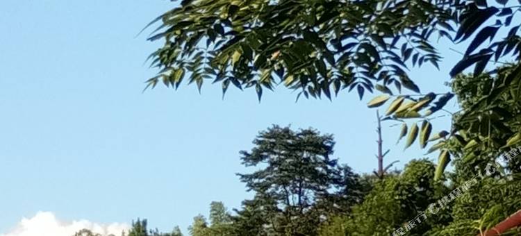 旺山楼民宿图片