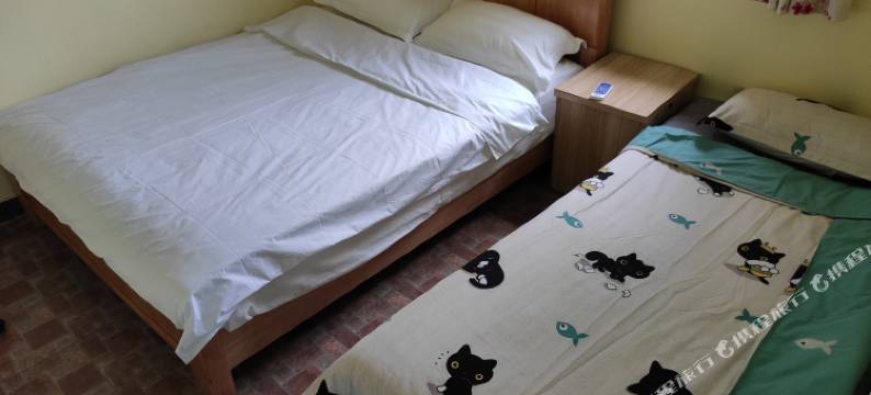 深圳九口之家客栈图片