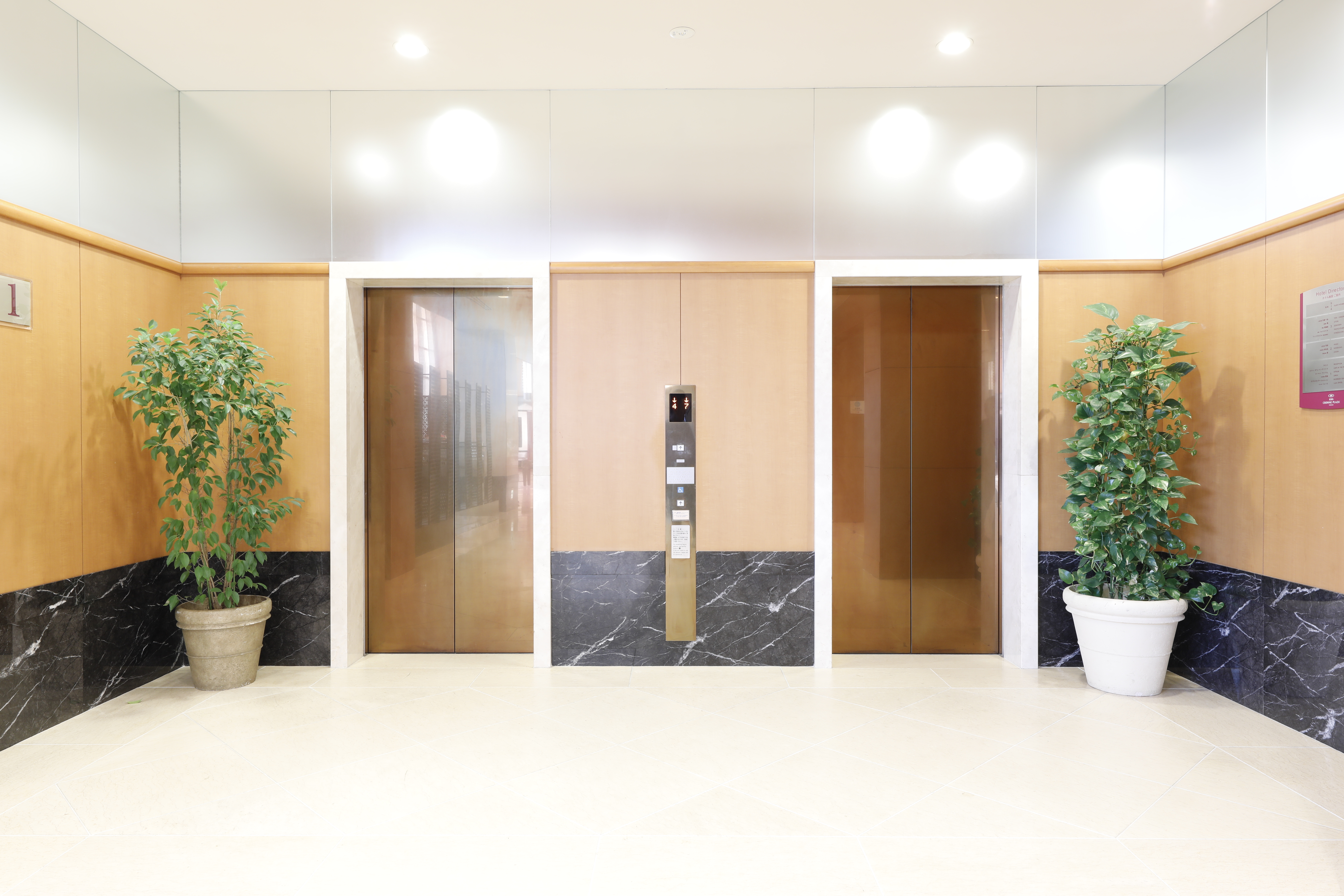 ANA Crowne Plaza YONAGO by IHGOver view