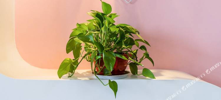 西安亚米公寓酒店图片