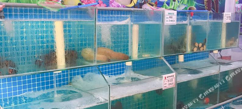 日照富海渔家旅馆图片