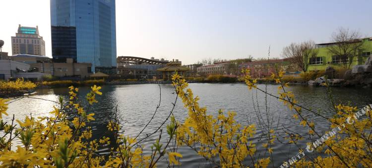 廊坊国际饭店图片