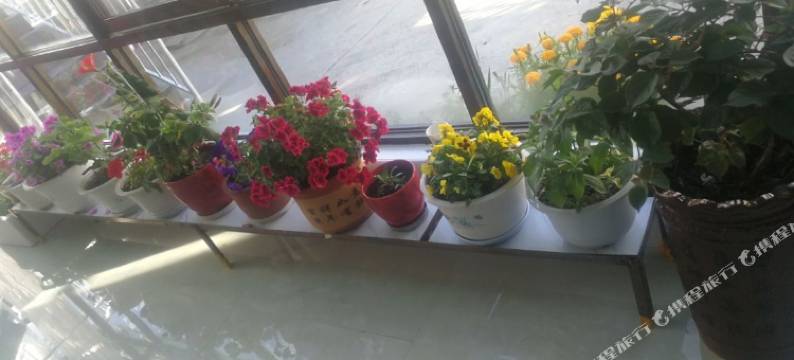 祁连客思缘宾馆图片