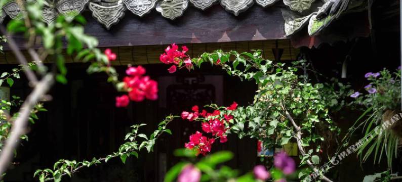 阆中欣悦精品民宿图片