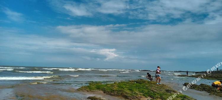 日照润禾渔家图片