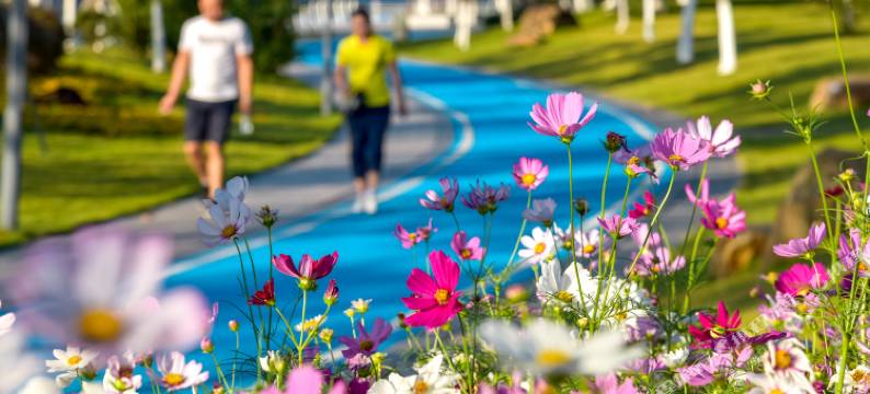 广州生物岛国际酒店公寓(琶洲会展店)图片