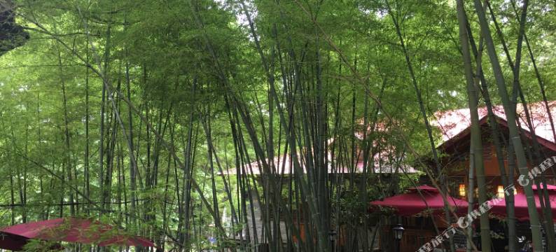 山涧溪.明庐轻居山景度假别墅(庐山风景区山上店)图片