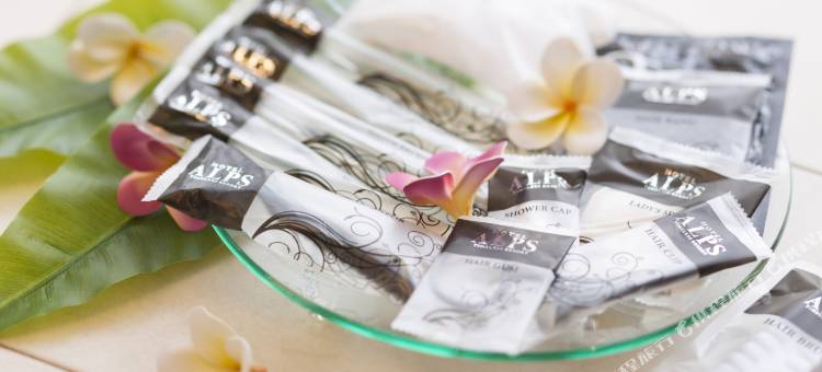 Alps酒店(Hotel Alps Osaka)图片