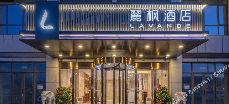 麗枫酒店(菏泽大学路店)图片