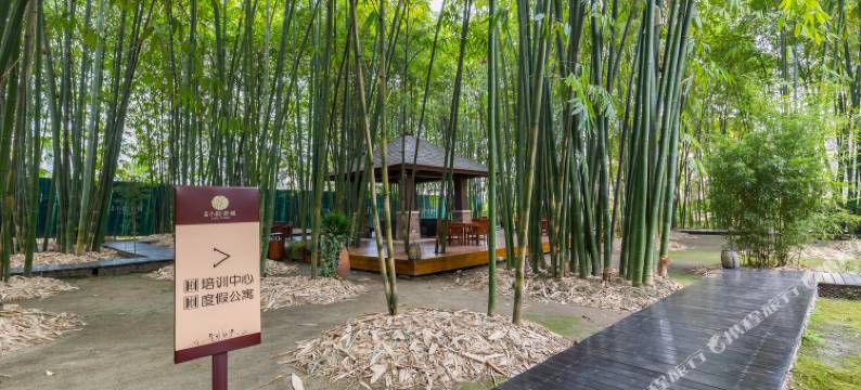 成都贰叁度假别墅(3号店)图片