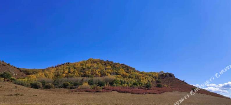 乌兰布统苏木敖包山下客栈图片