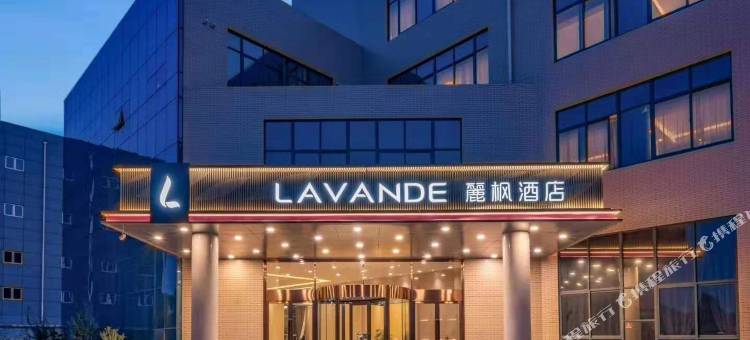 麗枫酒店(济南遥墙国际机场店)图片