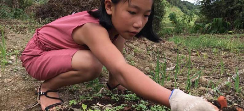 元阳路晟阳光客栈图片