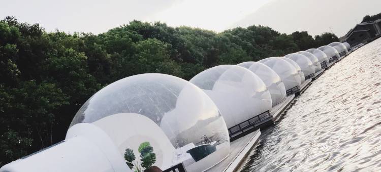 常州露森泡泡屋主题民宿图片