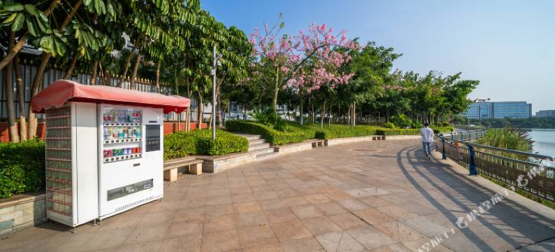 欣越公寓(厦门机场店)图片