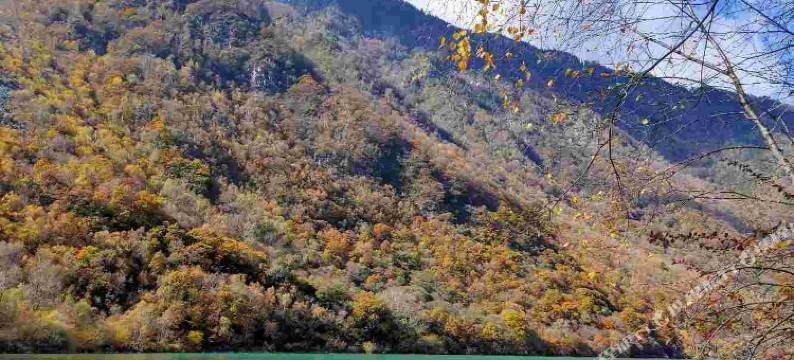 松坪沟邻海别院图片