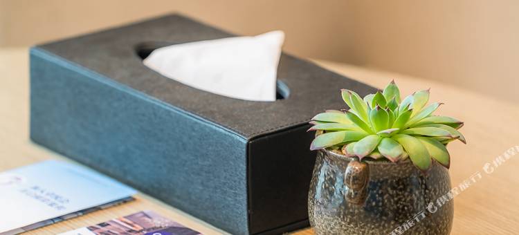 格雷斯精选酒店(武汉白沙洲杨泗港长江大桥店)图片