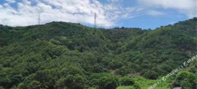 嵊泗98号渔家小院图片