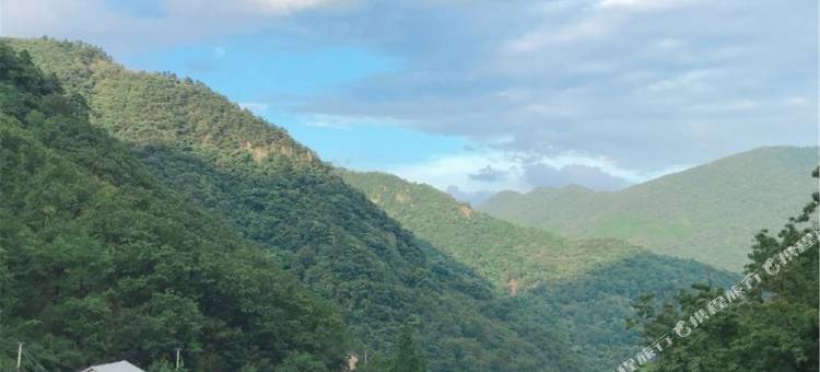 杭州半山隐民宿图片