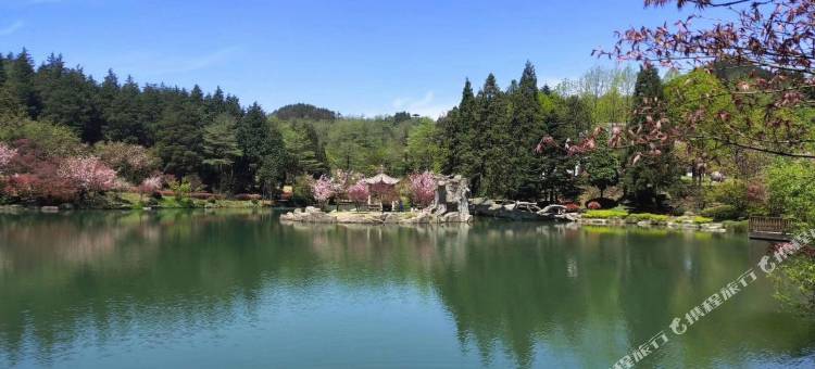 余姚悠然居民宿图片
