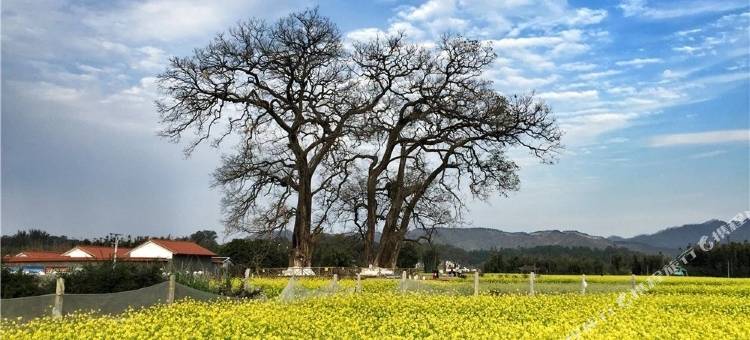 维也纳酒店(新丰店)图片